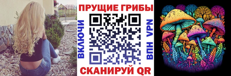 hydra сайт  Осинники  Галлюциногенные грибы прущие грибы 